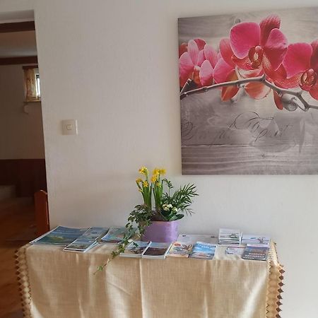 Haus Sonnenhang +Seeblick+Pool ريفينتيز المظهر الخارجي الصورة